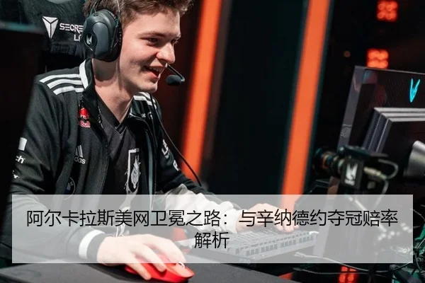 a-er-ka-la-si-mei-wang-wei-mian-zhi-lu-yu-xin-na-de-yue-duo-guan-pei-lv-jie-xi-2-541.jpg