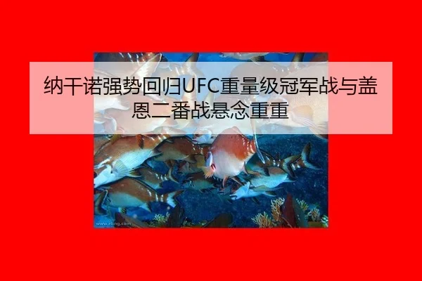 纳干诺强势回归UFC重量级冠军战与盖恩二番战悬念重重